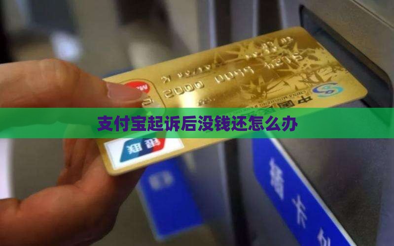 支付宝起诉后没钱还怎么办(图2)