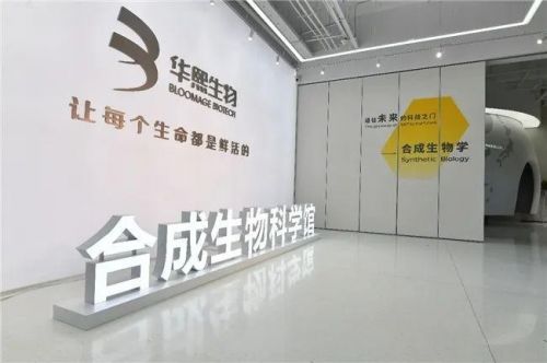 一文读懂华熙生物2024财报：穿越周期迷雾科技底色下的长期主义答卷深度(图1)