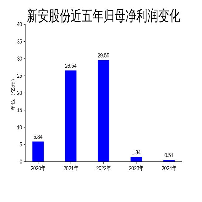 新安股份2024年财报：营收持平但净利润大幅下滑草甘膦与有机硅业务成亮点(图2)