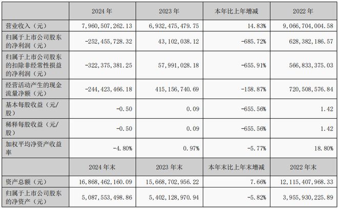 鹏辉能源2024年财报深度解读：储能赛道激战下失速与机遇并存(图1)