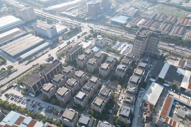 构建营商“强磁场”华新镇企服中心服务能级全面跃升！｜青和力·浦未来(图8)