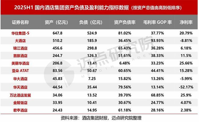 2025上半年酒店集团财务分析报告(图5)