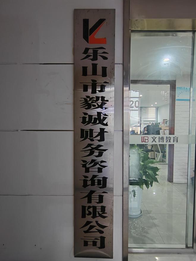 亲测专业财务咨询机构经验分享(图1)
