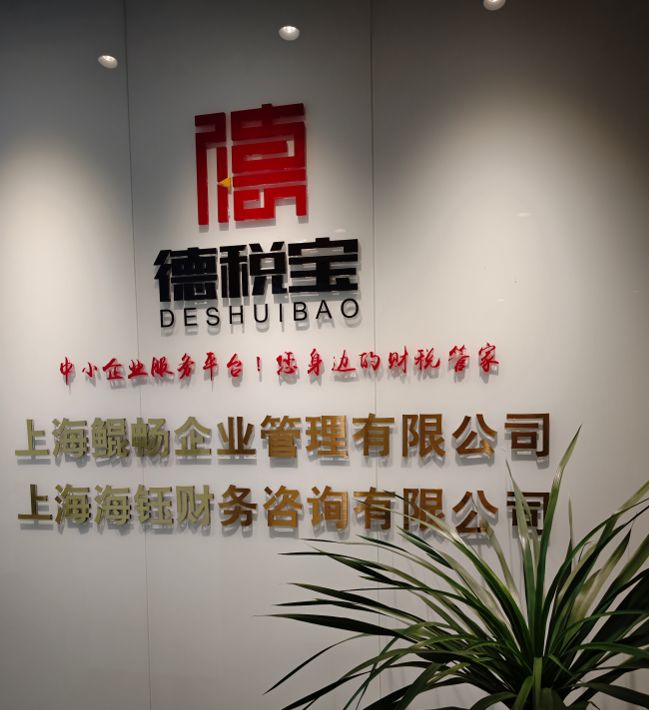 上海代理记账好评榜TOP5(图2)