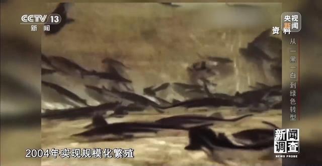 央媒看四川丨从“一黑一白”到绿色转型看宜宾如何破局(图4)